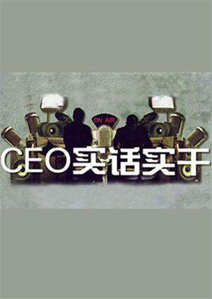CEO实话实干 2011
