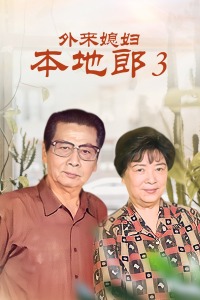 外来媳妇本地郎3