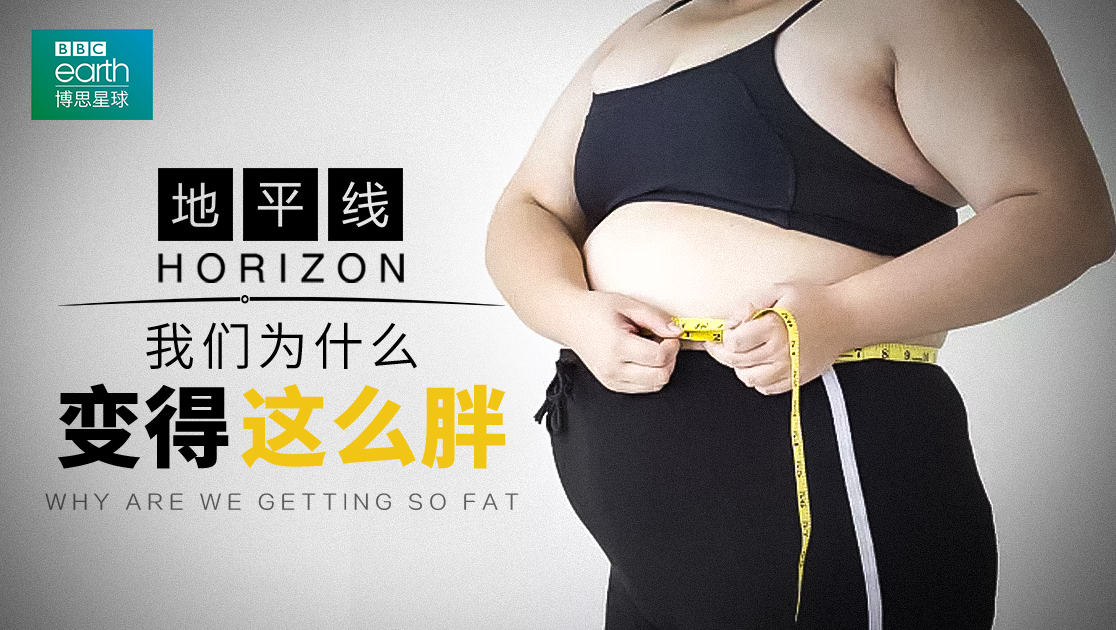 地平线：我们为什么变得这么胖