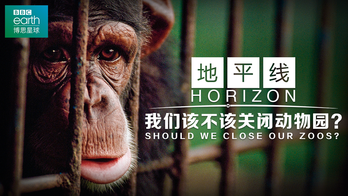 地平线：我们该不该关闭动物园？